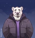 anthro belly big_belly blush clothing cold fur hoodie male night slightly_chubby smile solo sweater topwear mytigertail bear mammal polar_bear ursine digital_media_(artwork)