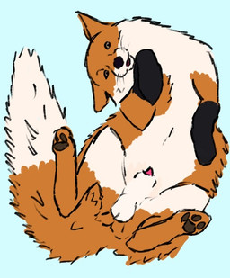animal_genitalia animal_penis balls canine_genitalia canine_penis feral fox_ears fox_tail fur genitals lipsticking lying male on_back orange_body orange_fur paws penis penis_tip sheath solo white_body white_fur praetorxz canid canine fox mammal