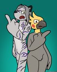 angry anthro duo gesture hand_gesture male male/male middle_finger nx-42 paladinbirdy sakuri_rainne avian bird cockatiel cockatoo felid mammal pantherine parakeet parrot tiger true_parrot absurd_res hi_res