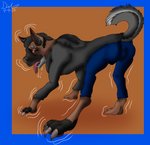 2020 absurd_res all_fours black_body black_fur bodily_fluids border bottomwear breath brown_body brown_pupils brown_skin bulge canid canine canis claws clothed clothing curled_tail dated domestic_dog dragonwithgames dripping drooling feet feral fully_clothed fur fur_growth genital_fluids genital_outline growth hi_res hoodie human_to_feral husky looking_at_self looking_back male mammal mid_transformation motion_lines multicolored_body multicolored_fur nails nordic_sled_dog panting pants paws plantigrade precum precum_drip precum_through_clothing prick_ears pupils saliva saliva_drip saliva_string salivating shiba_inu signature simple_background solo species_transformation spitz tail toenails toes tongue tongue_out topwear transformation two_tone_body two_tone_fur two_tone_pupils wet wet_clothing