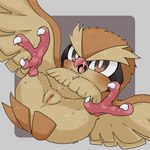 1:1 avian avian_feet beak bird blush bodily_fluids brown_body brown_feathers clitoris cum cum_drip cum_on_face doneru dripping feathered_wings feathers feet female feral generation_1_pokemon genital_fluids genitals hi_res looking_at_viewer lying nintendo on_back pidgey pokemon pokemon_(species) pussy simple_background solo spread_legs spread_wings spreading tail talons tan_body tan_feathers toes wings