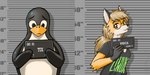 anthro clothing duo female male male/female mugshot shirt text text_on_clothing text_on_shirt text_on_topwear topwear expiredpopsicle barbie_and_ken_mugshot_meme linux tux_(linux) xenia_(linux) avian bird canid canine fox mammal penguin red_fox true_fox 2:1 hi_res trans_(lore) trans_woman_(lore)