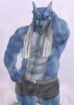 abs anthro barazoku blue_body blue_fur bulge checkered clothing fur green_eyes hand_behind_head hand_on_hip looking_at_viewer male muscular muscular_anthro muscular_male navel pose solo steam towel underwear bomb_(artist) power_rangers power_rangers_spd super_sentai tokusou_sentai_dekaranger doggie_kruger canid canine mammal 2018