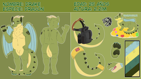 anthro fur male solo snowy_fox mythology drake_(dashtream) dragon furred_dragon furred_scalie mythological_creature mythological_scalie scalie 16:9 absurd_res hi_res model_sheet widescreen