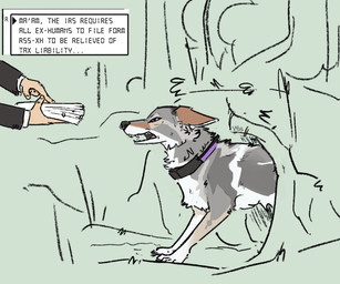 after_transformation ambiguous_gender claws clothed clothing collar digitigrade document duo fangs feral fur grey_body grey_fur leg_markings markings paper socks_(marking) solo_focus teeth text toe_claws vanillayote irs canid canine canis coyote human mammal colored digital_drawing_(artwork) digital_media_(artwork) english_text hi_res female_(lore)