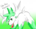 anus female feral fur genitals gradient_background green_hair hair happy looking_at_viewer master open_mouth ownership presenting presenting_pussy pussy simple_background solo submissive submissive_female teasing text white_body white_fur defalt nintendo pokemon generation_4_pokemon legendary_pokemon mammal pokemon_(species) shaymin sky_forme_shaymin 5:4