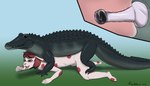 2016 alligator alligatorid anatomically_correct anatomically_correct_genitalia anatomically_correct_penis animal_genitalia animal_penis anthro anthro_on_feral anthro_penetrated ass_up back_spikes beady_eyes bestiality bodily_fluids buckteeth cloaca cloacal_penis collar crocodilian crocodilian_penis cutaway duo erection eyewear female female_on_bottom female_penetrated feral feral_penetrating feral_penetrating_anthro from_behind_position genitals glasses gradient_background hair hi_res interspecies lagomorph larger_feral larger_male leporid long_mouth long_tail looking_pleasured male male/female male_on_top male_penetrating male_penetrating_female mammal mounting mushbun mushbun_(character) neck_spikes nude on_bottom on_top open_mouth open_smile orange_eyes penetration penile penile_penetration penis penis_in_pussy pink_hair pink_spots rabbit reptile saliva scalie sex side_view simple_background size_difference smaller_anthro smaller_female smaller_penetrated smile snout spiked_tail spikes spikes_(anatomy) spots spread_legs spreading tail teeth thick_neck tongue tongue_out vaginal vaginal_penetration