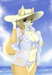 anthro bikini breasts clothed clothing female fur hair looking_at_viewer solo swimwear two-piece_swimsuit treyer treyer_(character) canid canine canis domestic_dog mammal absurd_res hi_res