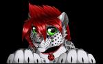 anthro collar fur green_eyes hair leopard_spots looking_at_viewer male red_hair simple_background smile solo spots transparent_background gard3r kiro felid leopard mammal pantherine alpha_channel