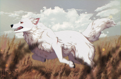 animal_genitalia animal_penis black_nose black_pawpads canine_genitalia canine_penis claws cloud feral fluffy fluffy_tail fully_sheathed fur genitals grass male open_mouth pawpads paws penis pink_inner_ear pink_tongue plant running scar sheath sky solo tail teeth tongue white_body white_fur shyryp canid canine canis mammal wolf absurd_res digital_media_(artwork) hi_res