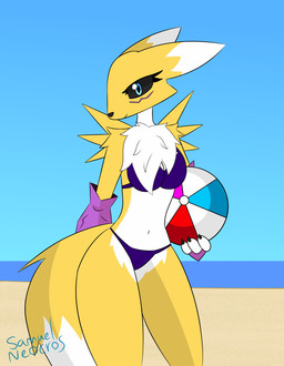 anthro ball beach beach_ball breasts clothing female fluffy fluffy_chest inflatable medium_breasts purple_clothing purple_swimwear solo swimwear samuel-neocros bandai_namco digimon canid digimon_(species) mammal renamon