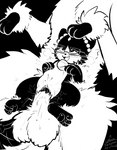 3_toes ahegao animal_genitalia balls bell bell_collar beta_pokemon_(species) beta_pokemon_games black_and_white blush bodily_fluids canid canine collar digital_media_(artwork) duo ejaculation erection eyewear faceless_character faceless_male feet felid female female_penetrated feral fluffy fur furfrou generation_6_pokemon genital_fluids genitals glasses hi_res inktober interspecies knot knotting looking_pleasured lying lying_on_another male male/female male_penetrating male_penetrating_female mammal monochrome natural_furfrou nintendo on_back open_mouth orgasm pawpads penetration penile penis pokemon pokemon_(species) pokemon_gold_beta pussy pussy_ejaculation rinrin_(pokemon_gold_beta) rymherdier rynring sex signature simple_background size_difference smile toes tongue vaginal vaginal_fluids vaginal_knotting vaginal_penetration white_body white_fur