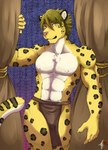 anthro bottomwear clothing curtains loincloth male markings solo spots spotted_body standing baroque_(artist) felid feline mammal pantherine snow_leopard hi_res