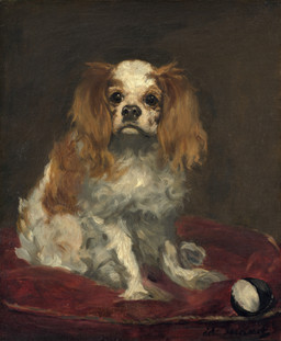 ambiguous_feral ambiguous_gender feral floppy_ears front_view fur lop_ears multicolored_body multicolored_fur painterly pillow quadruped simple_background sitting solo tan_body tan_fur two_tone_body two_tone_fur white_body white_fur edouard_manet public_domain bird_dog canid canine canis cavalier_king_charles_spaniel domestic_dog hunting_dog mammal spaniel toy_dog 1866 19th_century absurd_res ancient_art hi_res oil_painting_(artwork) painting_(artwork) signature traditional_media_(artwork) traditional_painting_(artwork)