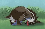 animal_genitalia animal_penis anthro balls brown_body brown_fur claws fur genitals male masturbation open_mouth outside penis pillow solo tongue white_body white_fur alex.fetter nintendo pokemon alex_(alex.fetter) generation_8_pokemon obstagoon pokemon_(species) hi_res
