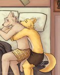 anthro bed boxers_(clothing) bulge clothed clothing detailed_bulge duo erection furniture genital_outline hug lying male male/male on_side partially_clothed penis_outline tenting tired underwear stinkymun canid canine canis domestic_dog mammal wolf 4:5 absurd_res hi_res