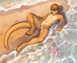 absurd_res anthro balls beach biped erection eyewear genitals glasses hi_res humanoid_genitalia humanoid_penis looking_at_viewer lying male mammal mustelid navel nude on_back otter outside penis seaside smile solo tail tarrin totesfleisch8