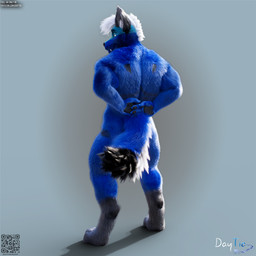 anthro blue_body blue_fur butt fur hair looking_at_viewer male pose posed qr_code simple_background smile smiling_at_viewer smirk smirking_at_viewer solo tail white_body white_fur white_hair daytia c4d canid canine canis mammal wolf 1:1 3d_(artwork) cinema_4d_(artwork) digital_media_(artwork) hi_res