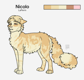 ambiguous_gender blonde_hair feral feral_with_hair feralized fluffy fluffy_fur fluffy_tail fur hair heart_nose heart_symbol long_legs long_tail orange_body orange_fur pink_nose quadruped simple_background solo tail tan_body tan_fur white_background yellow_eyes silveyytm attack_on_titan nicolo_(attack_on_titan) domestic_cat felid feline felis laperm mammal rex_(cat) 2019