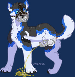 anatomically_correct animal_genitalia anus backsack balls blue_eyes bodily_fluids chastity_cage chastity_cage_only chastity_device chastity_device_only feral genital_fluids genitals hiked_leg male male_peeing messy metal_chastity_cage muzzle_(object) muzzled nude over_sheath_chastity_cage paws peeing peeing_through_chastity penis raised_leg sheath sheath_chastity_cage simple_background solo tongue transparent_background urine watersports wearing_chastity_cage wearing_chastity_device wire_basket_muzzle doggadee canid canine canis domestic_dog mammal alpha_channel