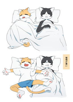 annoyed anthro barefoot black_body black_fur blue_bottomwear blue_clothing blue_shorts blush bodily_fluids bottomwear clenched_teeth clothing cross-popping_vein drooling duo eyes_closed feet fur lying male open_mouth orange_body orange_fur pawpads pillow saliva shorts simple_background sleeping spread_legs spreading tail teeth text white_background white_blanket white_body white_fur white_pillow young young_anthro young_male poch1 domestic_cat felid feline felis mammal 2026 absurd_res hi_res japanese_description japanese_text translated