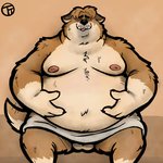 anthro balls belly bodily_fluids brown_body brown_fur eyes_closed fur genitals male moobs nipples overweight overweight_anthro overweight_male sitting solo sweat towel trashtoonz monster_smash canid canine canis mammal wolf 1:1 2020 hi_res