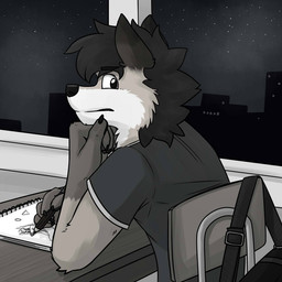 anthro arm_tuft black_claws black_eyebrows black_hair black_nose cheek_tuft claws clothing creating_art drawing_(action) elbow_tuft eyebrows facial_tuft fur glistening glistening_eyes grey_body grey_clothing grey_fur grey_shirt grey_t-shirt grey_topwear hair inside looking_at_viewer looking_back male mouth_closed night shirt sitting sky solo t-shirt three-quarter_view topwear tuft unsigned white_body white_fur window pache_riggs canid canine canis mammal 1:1