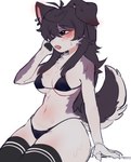 anthro big_breasts bikini blush bodily_fluids breasts clothed clothing ear_piercing ear_ring female female_anthro fur hair kemono legwear navel nipple_outline open_mouth piercing ring_piercing simple_background solo sweat sweatdrop swimwear tail thick_thighs thigh_highs triangle_bikini two-piece_swimsuit under_boob white_background acorn_furry canid canine canis domestic_dog mammal 2024 digital_media_(artwork)