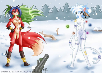 anthro blonde_hair blue_eyes blue_hair boots branch breasts casual_nudity clothing dipstick_tail duo feathers female footprint footwear fur gloves green_hair hair handwear jewelry long_hair markings nipples nude outside plant red_body red_fur rock shoes short_hair slim smile snow standing tail tail_markings tree white_body white_fur wind winter wood yellow_eyes chalo id_fox necril zarine canid canine felid fox mammal 2002