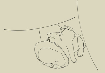 4_toes all_the_way_through anal anal_penetration anal_threading animal_genitalia animal_penis bodily_fluids duo equine_genitalia equine_penis feet female female_penetrated feral feral_on_feral feral_penetrated feral_penetrating feral_penetrating_feral flared_penis forced fur genitals male male/female male_penetrating male_penetrating_female penetration penile penile_penetration penis penis_in_ass rape sex sheath stretched_mouth tears threaded_by_penis toes young young_female young_raped ratkingofteeth canid canine equid equine horse mammal black_and_yellow hi_res monochrome