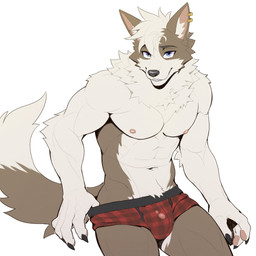 abs anthro biceps blue_eyes boxer_briefs boxer_briefs_only brown_body brown_fur bulge clothed clothing clothing_pull countershade_torso countershading dipstick_tail ear_piercing ear_ring fur genital_outline hair kemono looking_at_viewer male markings muscular muscular_anthro muscular_arms muscular_male muscular_thighs navel pecs piercing pubes ring_piercing shirtless_male simple_background slim smile smiling_at_viewer solo tail tail_markings topless underwear underwear_only underwear_pull white_background white_body white_fur white_hair peapeafur canid canine canis domestic_dog mammal 1:1 hi_res