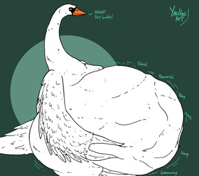 ambiguous_gender anthro beak belly big_belly green_background hand_on_belly huge_belly looking_at_viewer orange_beak overweight rumbling_stomach simple_background solo tail talking_to_viewer text white_belly white_body white_feather white_tail white_wings wings yauhasart anatid anseriform anserine avian bird swan 2025 english_text flat_colors hi_res watermark