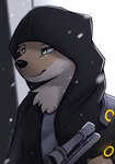 anthro clothing cosplay hoodie male ranged_weapon snow solo topwear weapon snowstormbat the_division tom_clancy's_(series) ubisoft adrian_(snowstormbat) mammal mustelid otter absurd_res hi_res