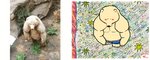 biped black_nose blue_bottomwear blue_clothing bottomwear clothed clothing comparison fur high-angle_view male muscular muscular_male photo plant real shorts solo tan_body tan_fur topless walking keke_(artist) bear mammal 2020 animated digital_media_(artwork) flipnote_studio_(artwork) frame_by_frame loop photography_(artwork) short_playtime