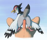 ambiguous_gender animal_genitalia avian avian_butt beak bestiality bird blush bodily_fluids butt cloaca cloacal cloacal_penetration drooling duo faceless_character faceless_male female female_focus female_on_human female_on_top feral feral_penetrated first_person_view generation_5_pokemon genitals hi_res human human_on_feral human_penetrating human_penetrating_feral humanoid_genitalia humanoid_penis interspecies kakithefox looking_at_viewer male male/ambiguous male_on_feral mammal nintendo on_bottom on_top penetration penile penile_penetration penis pokemon pokemon_(species) pokephilia raised_tail reverse_cowgirl_position saliva sex simple_background smile solo_focus tail tranquill wings yellow_eyes