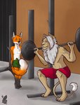 absurd_res annoyed anthro aroused awkward barbell barefoot being_watched bulge canid canine clothed clothing crouching detailed_bulge digitigrade duo embarrassed erection erection_under_clothing exercise feet felid fox fur genital_outline gym hi_res larger_male leopold_(house_of_immortals) lion looking_at_another lovernios male male/male mammal mostly_nude muscular muscular_male okko orange_body orange_fur pantherine penis_outline red_fox size_difference slim smaller_male squats squire_(house_of_immortals) standing stare tattoo tenting topless true_fox weightlifting weights white_body white_fur workout