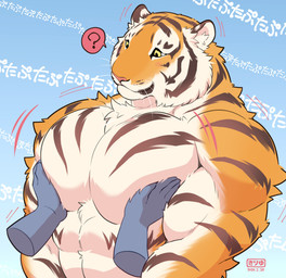 ambiguous_gender anthro big_muscles big_pecs black_nose blue_background confusion disembodied_hand duo featureless_chest fur gradient_background grope male male/ambiguous male_anthro muscular muscular_anthro muscular_male orange_body orange_fur pec_grab pec_squeeze pec_squish pecs question_mark shirtless_male simple_background squeezing striped_body striped_fur stripes text white_body white_fur giraffe_(artist) lam-chan felid mammal pantherine tiger hi_res japanese_text translation_request
