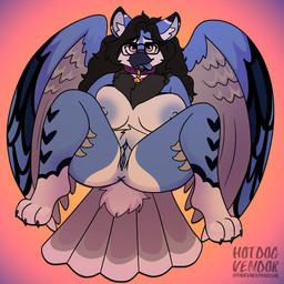 anthro beak breasts collar eyewear female genitals glasses solo spread_legs spread_vulva spreading vulva wearing_glasses wings hotdogvendor mythology avian bird blue_jay corvid gryphon jay_(bird) mythological_avian mythological_creature new_world_jay oscine passerine 1:1 absurd_res hi_res