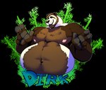 anthro bamboo bamboo_stick beard belly_hair body_hair facial_hair hair male musclegut muscular navel nipples solo text wildside drik_the_panda_(character) bear giant_panda mammal 2024 english_text hi_res