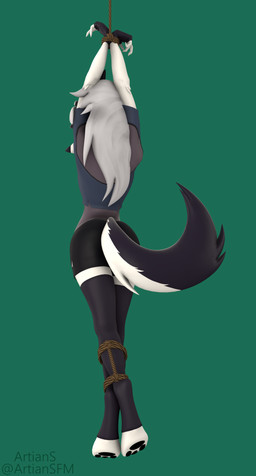 anthro arms_above_head barefoot bdsm bondage bottomwear bound butt clothed clothing digitigrade exposure_variation feet female fingerless_gloves fur gloves green_background grey_body grey_fur hair hands_tied handwear legs_tied legwear multicolored_body multicolored_fur pawpads paws rear_view restraints rope rope_bondage shirt shorts simple_background solo standing stockings toes topwear torn_clothing white_body white_fur white_hair artians aeridiccore_(modeler) hellaverse helluva_boss mythology loona_(helluva_boss) canid canid_demon canine demon hellhound mammal mythological_canine mythological_creature 3d_(artwork) absurd_res digital_media_(artwork) hi_res source_filmmaker_(artwork)