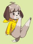 animal_genitalia anthro anus balls bodily_fluids bottomless brown_body brown_fur butt clothed clothing coat fur genitals legs_up male pawpads paws penis penis_tip raincoat sheath solo sweat sweatdrop topwear yellow_raincoat young minatoyui animal_crossing nintendo digby_(animal_crossing) canid canine canis domestic_dog mammal shih_tzu toy_dog