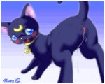 blush butt cat feline female feral in_heat inviting luna_(sailor_moon) presenting presenting_hindquarters pussy pussy_juice sailor_moon smile solo
Rating: Explicit
Score: 6
User: Sods
Date: January 16, 2013