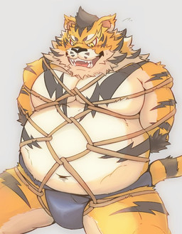 anthro asian_clothing belly big_belly biped blue_clothing blue_underwear bound bulge clothed clothing east_asian_clothing front_view fundoshi japanese_clothing male mawashi moobs navel overweight overweight_anthro overweight_male rope simple_background sitting skimpy solo submissive submissive_male sumo topless underwear boar_stag144 felid mammal pantherine tiger 2015