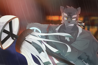 anthro fur grey_body grey_fur kemono looking_at_viewer male raining solo wet wet_body wet_fur yellow_eyes y_yama8642 mammal