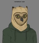 clothing green_clothing green_hoodie green_topwear hoodie solo topwear thathornycat capitoline_ranch soren_(capitoline_ranch) avian bird owl bust_portrait colored hi_res portrait sketch