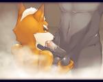anthro ball_fondling balls canine cum cum_in_mouth cum_inside dangpa erection faceless_male fellatio fox fox_mccloud gay male mammal nude oral oral_sex penis sex star_fox video_games wolf wolf_o'donnell
Rating: Explicit
Score: 11
User: Pokelova
Date: March 04, 2014