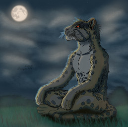 anthro claws cloud eyewear fur glasses grass male moon night plant solo tail dragon171 clouded_leopard felid feline leopard mammal pantherine absurd_res hi_res