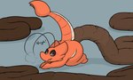 anthro big_tail blush blush_lines breath butt excessive_feces eyes_closed feces hyper hyper_feces kneeling kneeling_on_ground male pooping prostrating raised_tail scatplay solo straining tail conditional_dnp verdantphysician shrimpy_(verdantphysician) arthropod crustacean marine shrimp 5:3