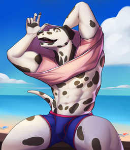 abs anthro beach black_body black_fur blue_clothing blue_underwear boxer_briefs brown_eyes bulge clothed clothed_anthro clothed_male clothing cloud day detailed_background fingers front_view fur humanoid_hands looking_at_viewer male markings muscular muscular_anthro muscular_male navel open_mouth outside pawpads pink_clothing pink_shirt pink_topwear sand sea shirt sitting sky solo spots spotted_markings spread_legs spreading topwear underwear undressing water white_body white_fur jrjresq canid canine canis dalmatian domestic_dog mammal colored hi_res portrait shaded three-quarter_portrait