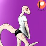 albino anthro arm_markings biped black_clothing black_panties black_underwear clothed clothing clothing_pull covering covering_crotch covering_self facial_markings female glistening glistening_clothing glistening_panties glistening_underwear head_markings leg_markings long_neck looking_at_viewer markings orange_sclera panties pink_body pink_eyes pink_scales pink_stripes pulling_shirt_down red_eyes reptile_tail scales shirt shirt_pull shy simple_background slim smile solo stripes tail tail_markings tan_body tan_sclera topwear topwear_pull underwear white_clothing white_shirt white_topwear how-about cornelia_(glacierclear) colubrid corn_snake lampropeltini rat_snake reptile scalie snake 1:1